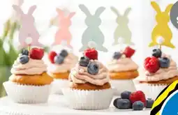 TEDi Oster-Picker Angebot