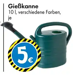 TEDi Gießkanne Angebot