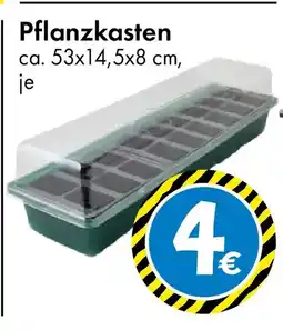 TEDi Pflanzkasten Angebot