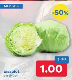T&G Eissalat Angebot