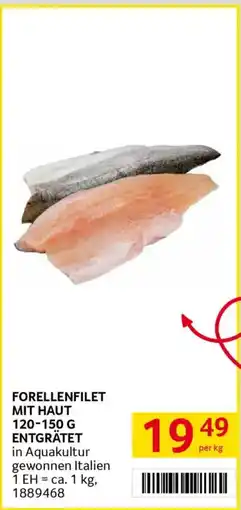 Transgourmet Forellenfilet mit haut Angebot