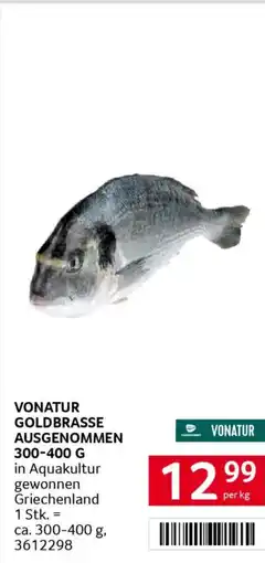 Transgourmet Goldbrasse ausgenommen Angebot