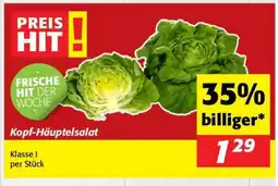 Nah&Frisch Kopf Häuptelsalat Angebot