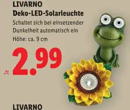 Lidl Livarno Deko LED-Solarleuchte Angebot