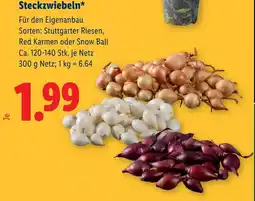 Lidl Steckzwiebeln Angebot