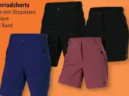 Lidl Crivit Damen Fahrradshorts Angebot