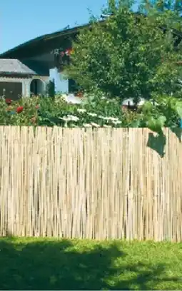 Lagerhaus Windhager sichtschutz- matte mitake Angebot