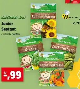 Thomas Philipps Junior Saatgut Angebot