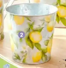 Thomas Philipps Pflanzkübel Serie Provence Angebot