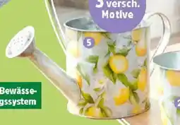 Thomas Philipps Pflanzkübel Serie Provence Angebot