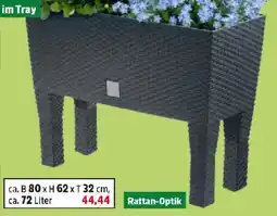 Thomas Philipps Blumenbank mit Füßen Rato Case High Angebot