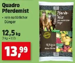 Thomas Philipps Quadro Pferdemist Angebot