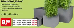 Thomas Philipps Pflanzkübel Kubus Angebot