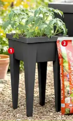 Thomas Philipps Hochbeet Angebot