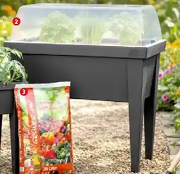 Thomas Philipps Hochbeet Angebot