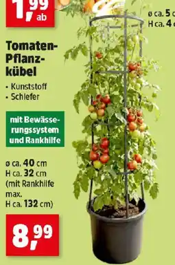 Thomas Philipps Tomaten Pflanzkübel Angebot