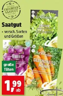 Thomas Philipps Saatgut Angebot