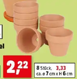 Thomas Philipps Mini-Blumenkübel Angebot