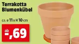 Thomas Philipps Terrakotta Blumenkübel Angebot