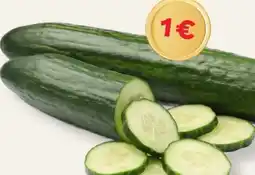 MPreis Gurken Angebot