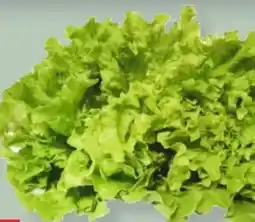 MPreis M Bio Gentile Salat Angebot