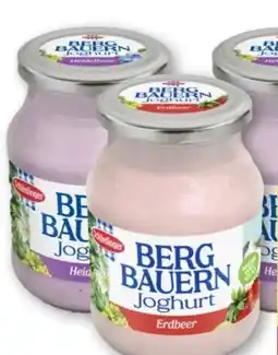MPreis Schärdinger Bergbauern Joghurt Angebot