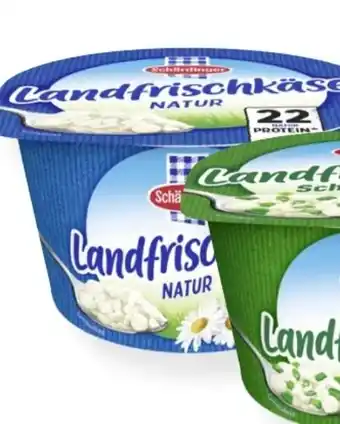 MPreis Schärdinger Landfrischkäse Angebot