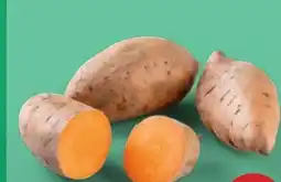 PENNY Echt Bio Susskartoffeln Angebot