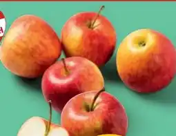 PENNY Echt Bio Äpfel Angebot