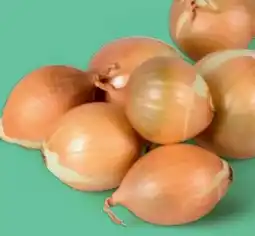 PENNY Echt Bio Zwiebeln Angebot