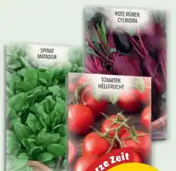 PENNY Samen Maier Blumensamen Angebot