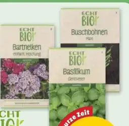 PENNY Echt Bio Blumen-Samen Angebot
