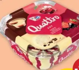 PENNY Ledo Quattro Joy Angebot