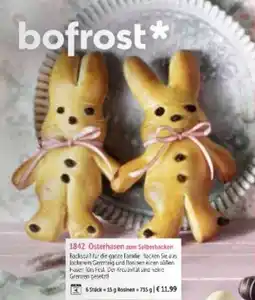 Bofrost Osterhasen zum Selberbacken Angebot