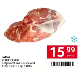 Transgourmet Lamm keule femur Angebot