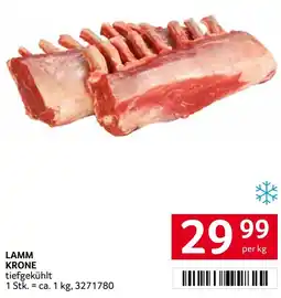 Transgourmet Lamm krone Angebot