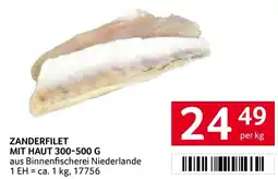 Transgourmet Zanderfilet mit haut Angebot