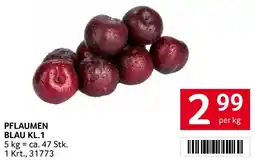 Transgourmet Pflaumen blau Angebot