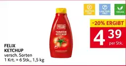 Transgourmet Ketchup Angebot