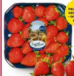 Billa SanLucar Erdbeeren Angebot