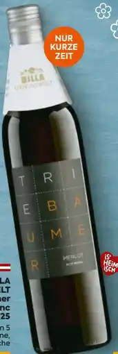 Billa Billa Genusswelt Triebaumer Merlot Alte Reben Angebot