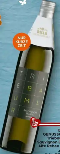 Billa Triebaumer G+R Sauvignon Blanc Angebot