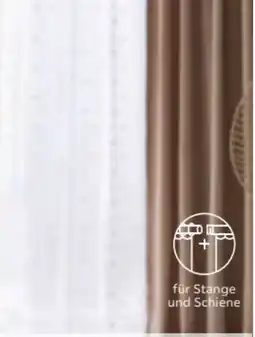 Mömax Modern Living Fertigvorhang Stella Angebot
