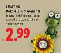 Lidl LIVARNO Deko-LED-Solarleuchte Angebot