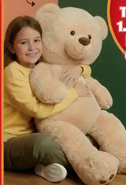 Woolworth Teddybär Tom Angebot