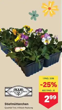 MPreis Stiefmütterchen Angebot