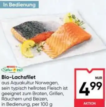 Maximarkt Bio Lachsfilet Angebot