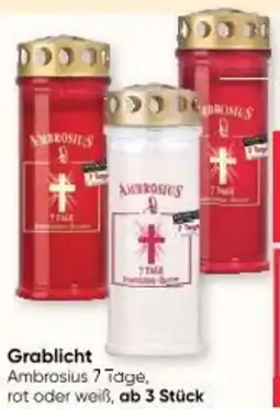 Maximarkt Grablicht Angebot