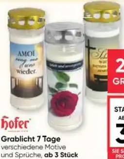Maximarkt Grablicht 7 Tage Angebot
