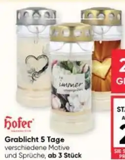 Maximarkt Grablicht 5 Tage Angebot